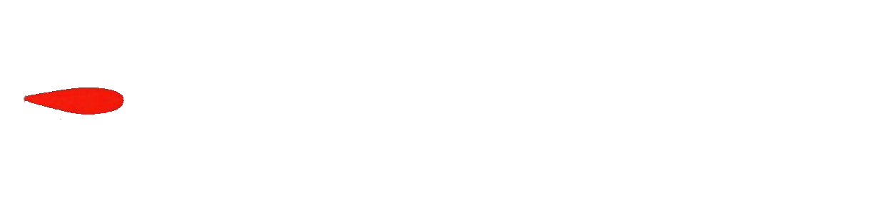 Bash P